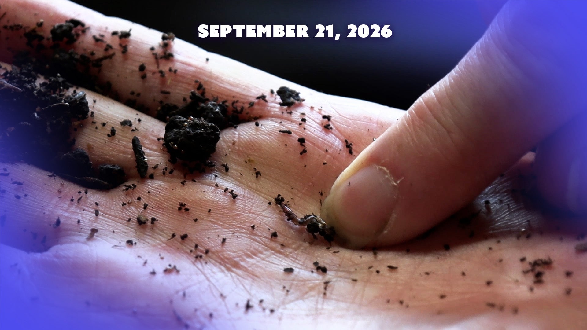 Worm castings shown in the WORLD Watch farm feature